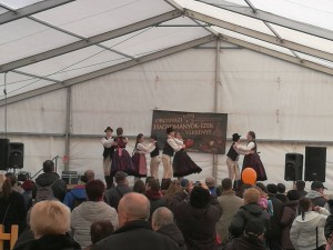 16864490 1262908347091042 6779429454396470253 n