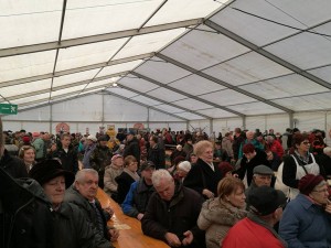 16939488 1262900050425205 3924447508818307233 n