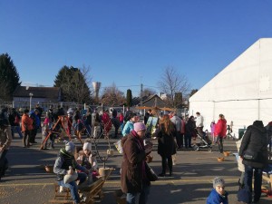 16939533 1262917863756757 2233661989710010825 n