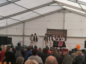 16995975 1262908397091037 851099966886024616 n