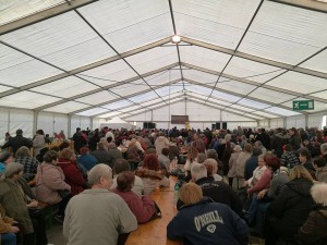 16999128 1262908750424335 5968177664795424944 n